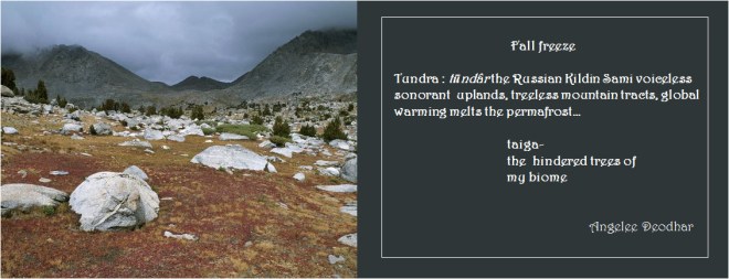 Angelee Doedhar - Fall freeze.jpg