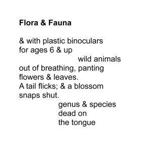 Aversano Other Bunny Sub Nov2o15