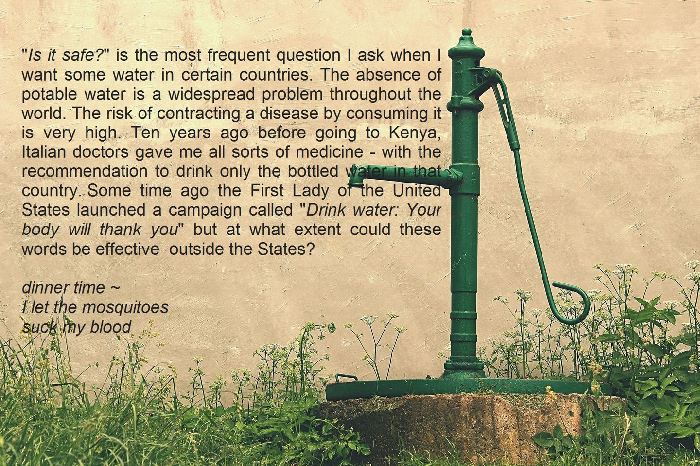 andrea-cecon-28-12-16-fountain