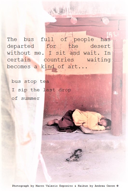 andrea cecon The road to Ladakh 26-02-17.jpg