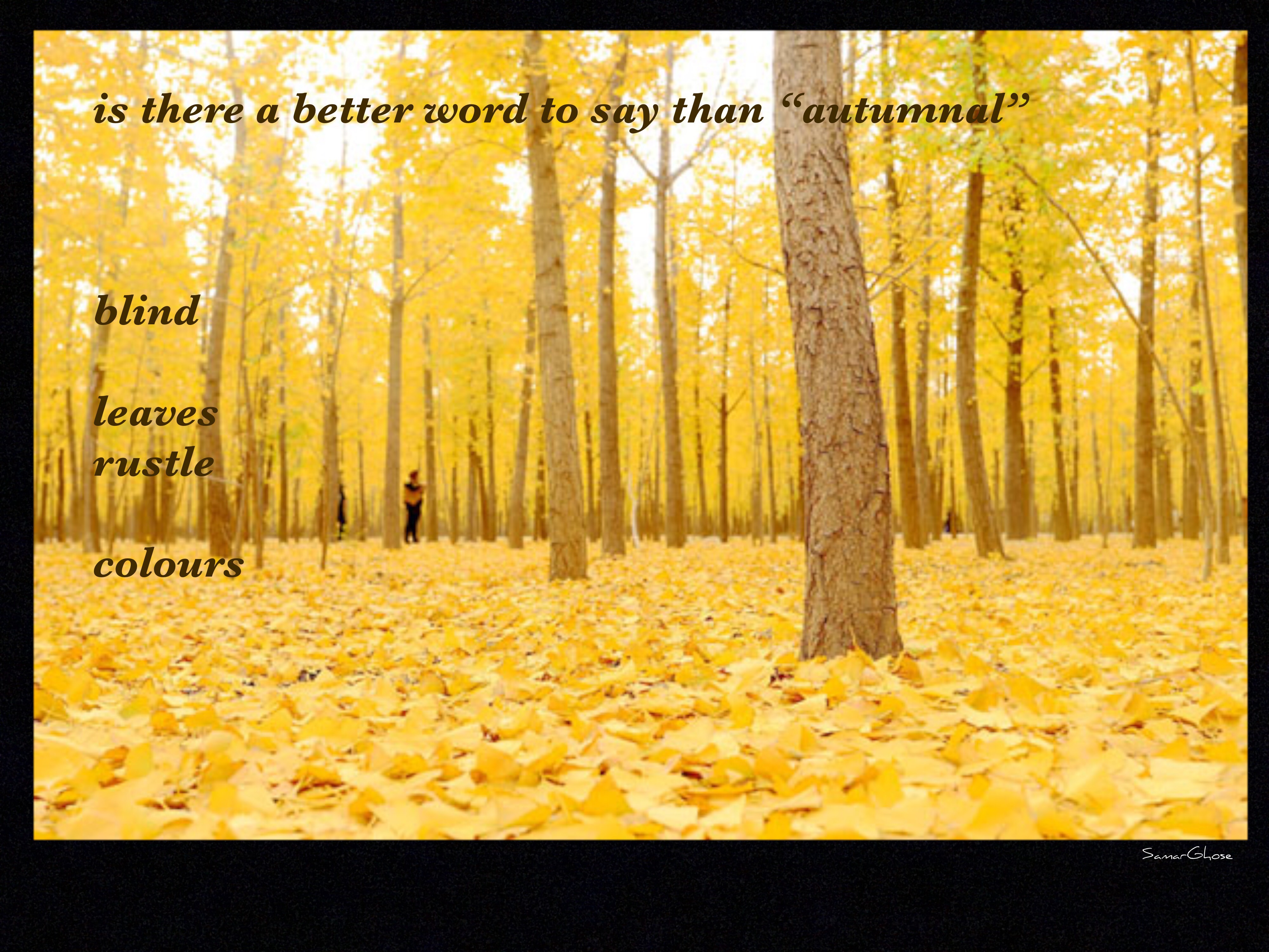 Samar Ghose - come back Alice 13-11-19